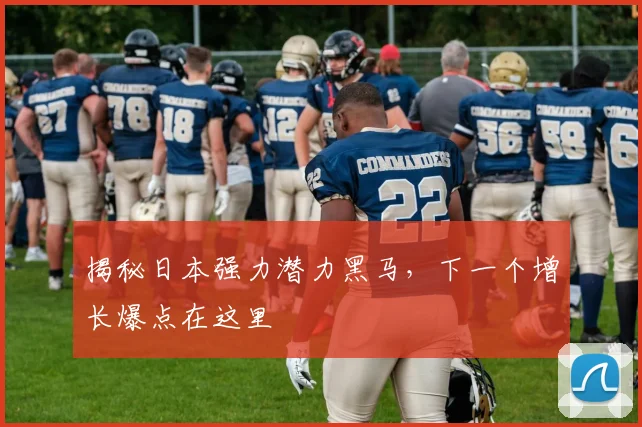揭秘日本强力潜力黑马,下一个增长爆点在这里
