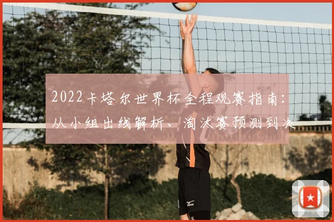 2022卡塔尔世界杯全程观赛指南：从小组出线解析、淘汰赛预测到决赛热点追踪