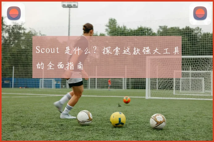 Scout 是什么？探索这款强大工具的全面指南