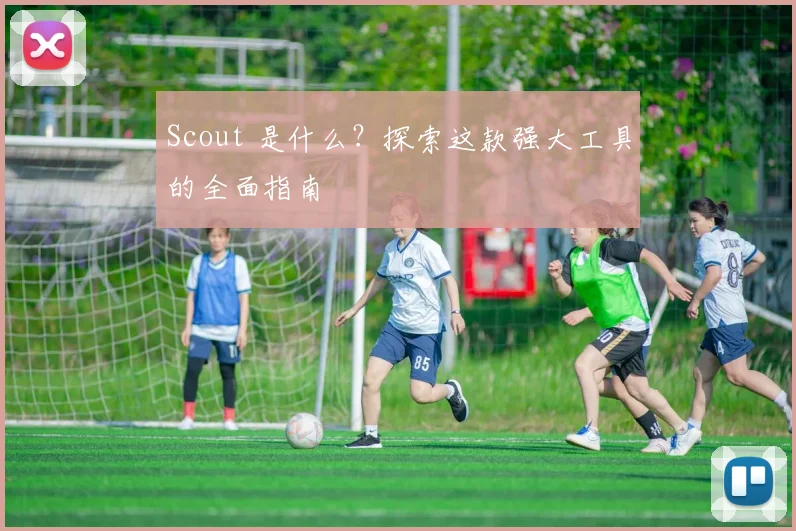 Scout 是什么？探索这款强大工具的全面指南
